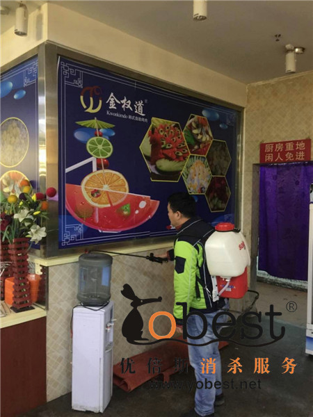 成功案例