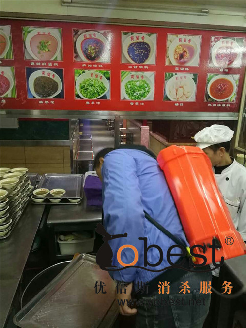 成功案例
