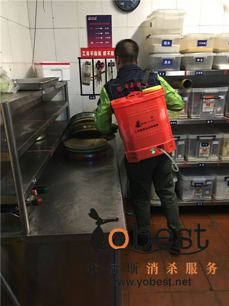 成功案例